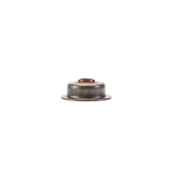 Valve Stem Seal for the 196cc 6.5hp 168F Engine Coleman Powesports Online Sale