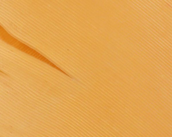 Turkey Biot Quills Online Sale - Image 4