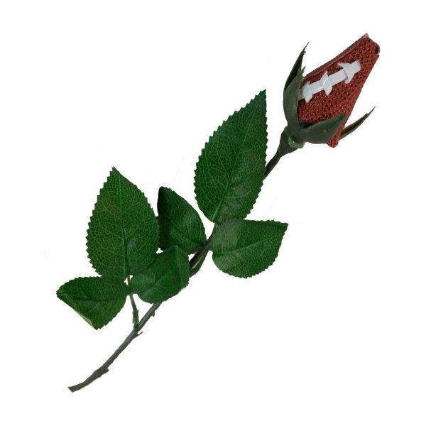 Football Gifts for Girls - Football Gift for Players, Coach, Seniors, Mom, Dad - Team Basket Bag Ideas - Sports Novelties Bulk Online now - Image 2